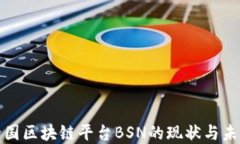 探讨全国区块链平台BSN的现状与未来发展