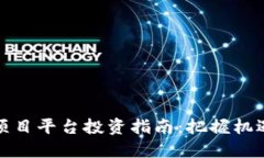 区块链项目平台投资指南：把握机遇与风险