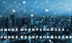 区块链投资：探索中国平台的现状与未来区块链