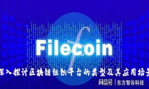 深入探讨区块链组织平台的类型及其应用场景