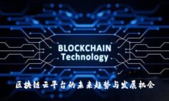 区块链云平台的未来趋势与发展机会