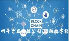 : 中国互联网平台区块链公司：推动数字经济的新