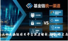 2023年最火的区块链项目平台深度解析：趋势、特