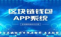 网红平台区块链项目深度解析：未来趋势与机会